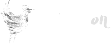 Liberation Sanctuary